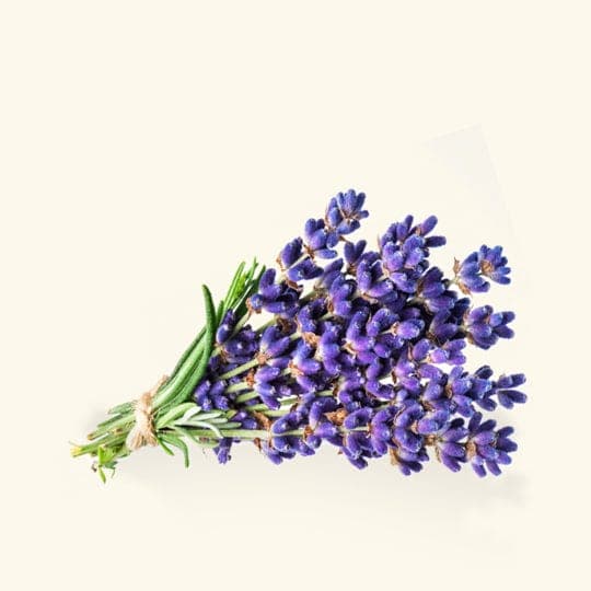 Bulgarian Lavender Essential Oil