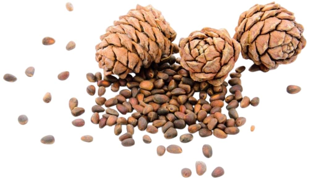 Cedarwood Essential Oil