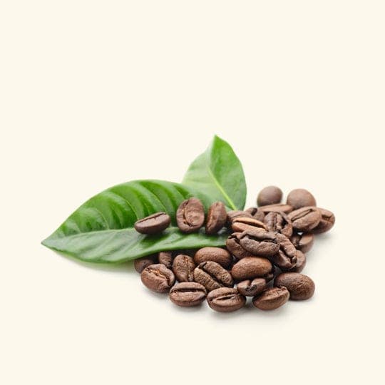 Coffee Essential Oil