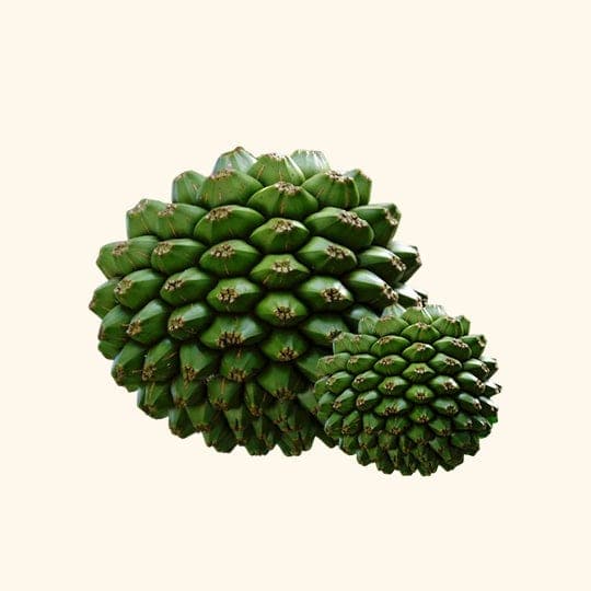 Kewra (Pandanus) Essential Oil