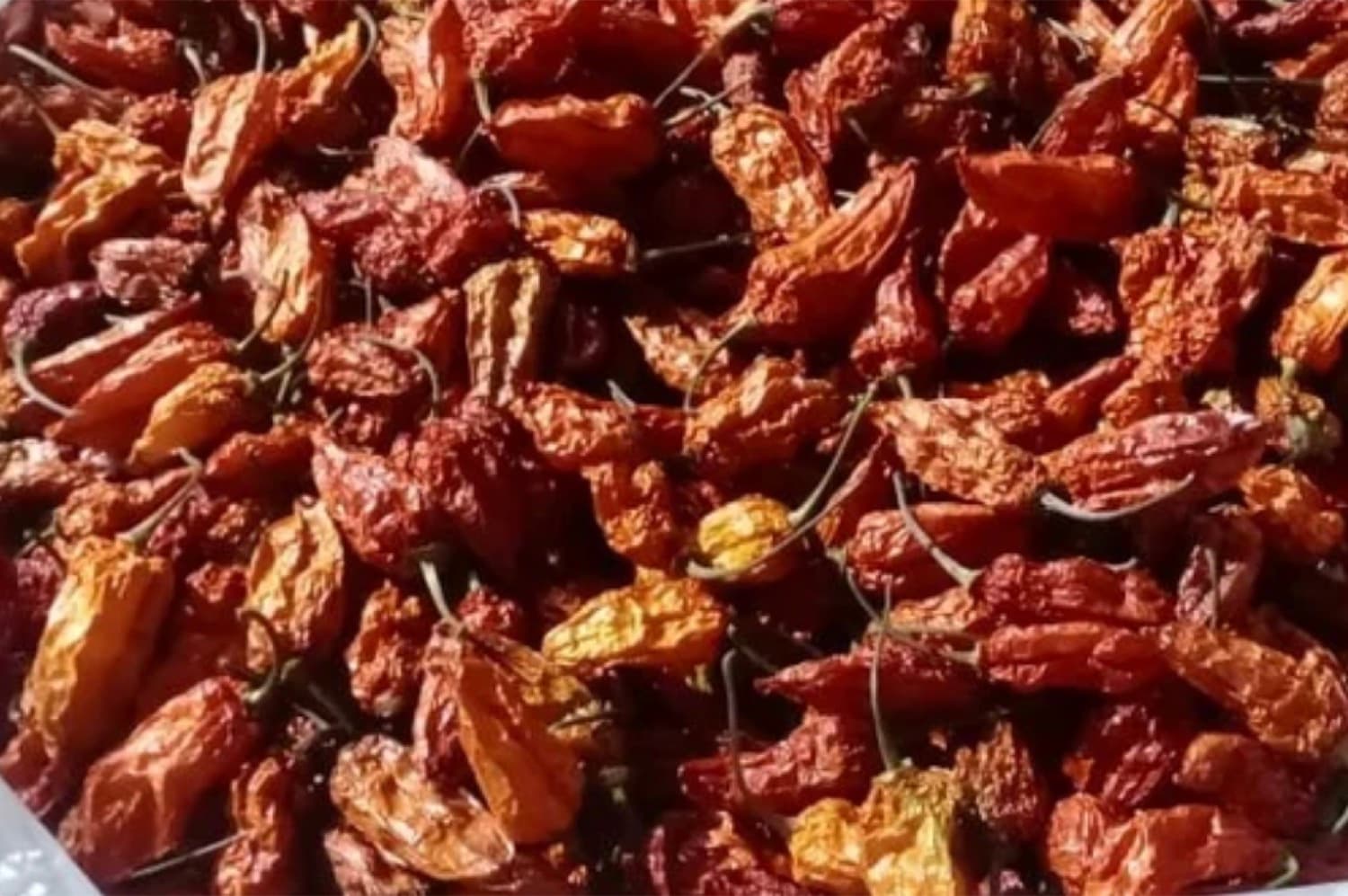Oven-Dried Naga Chilli