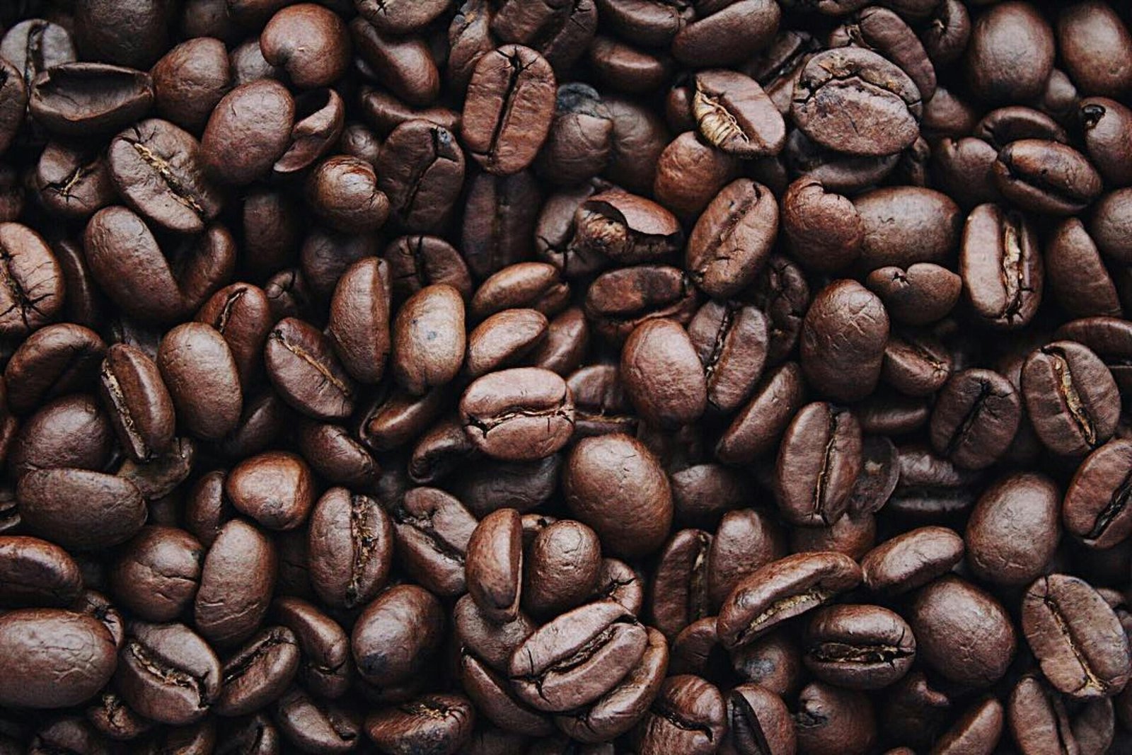 Nature Presents 100% Robusta Roasted Coffee Beans