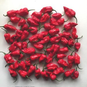 Naga Chilli Peppers