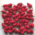 Naga Chilli Peppers