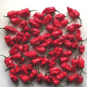 Naga Chilli Peppers