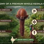 Whole Clove Kerala Premium Quality - Nature Presents