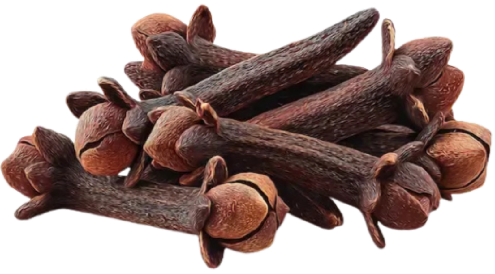Whole Clove Kerala Pure Premium Quality