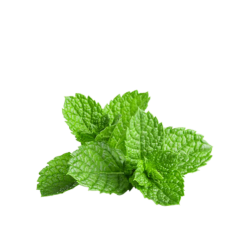 Peppermint